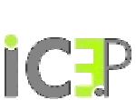 Nicepix Logo Long Gris2
